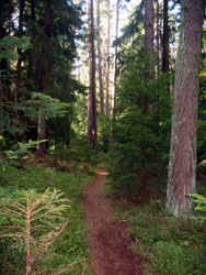 singletrail